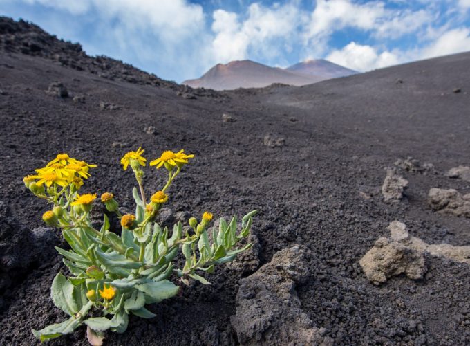 Excursion au volcan Etna. paysage