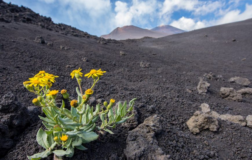 Excursion de Palerme au volcan Etna