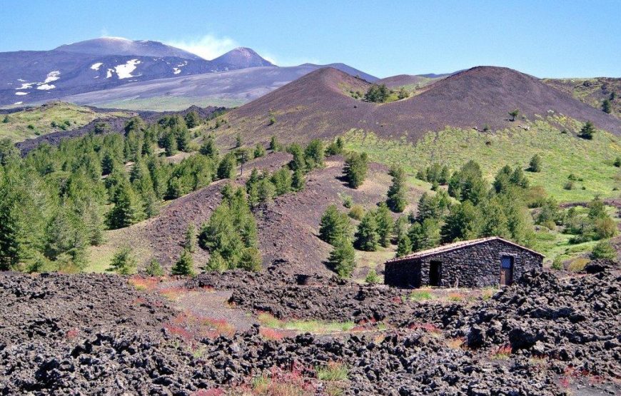Excursion from Palermo to the Etna volcano